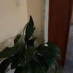 아파트 